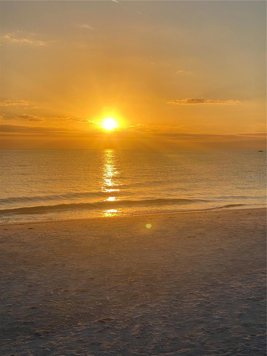 KINGSTON ARMS - Residential Lease