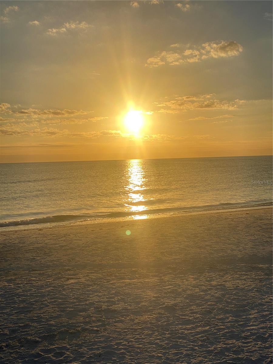 KINGSTON ARMS - Residential Lease