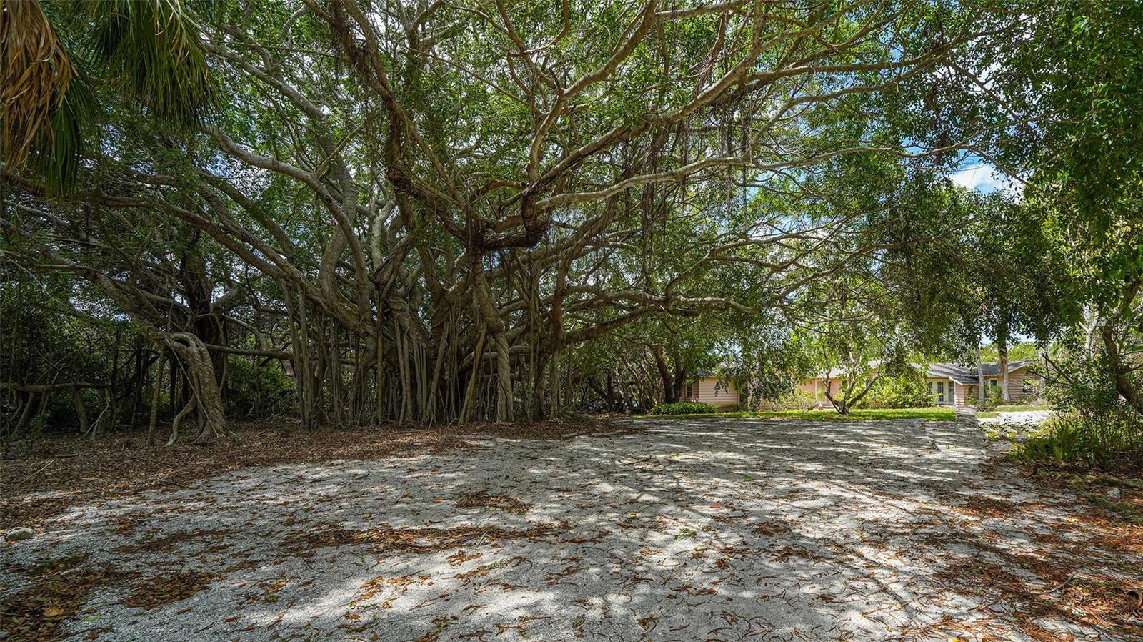 GULF BLVD - Residential