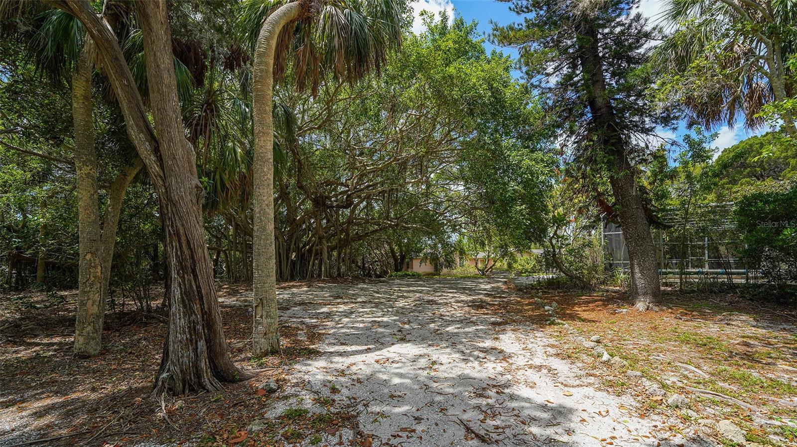 GULF BLVD - Residential