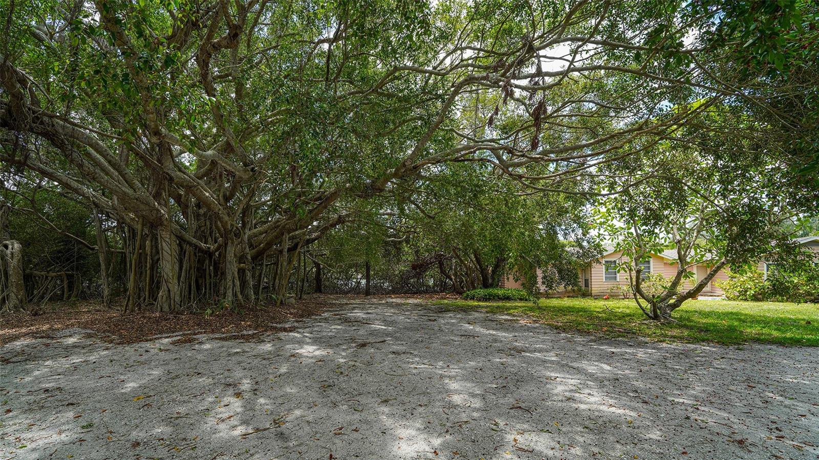 GULF BLVD - Residential