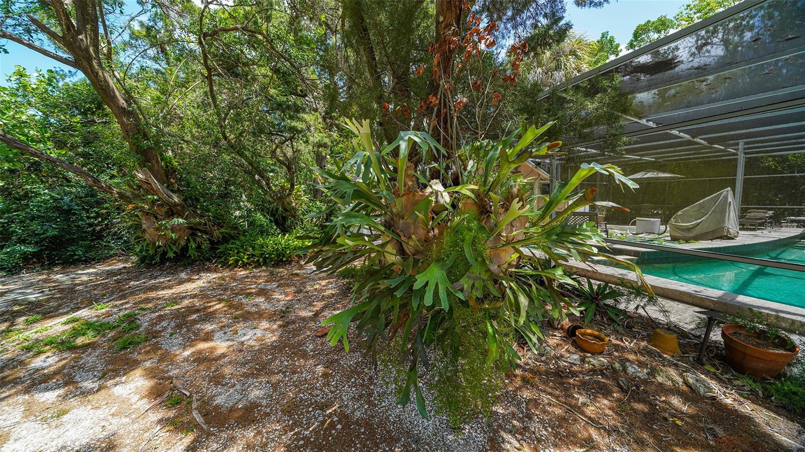 GULF BLVD - Residential