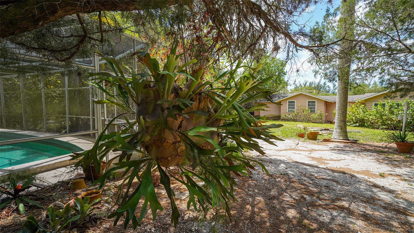 GULF BLVD - Residential