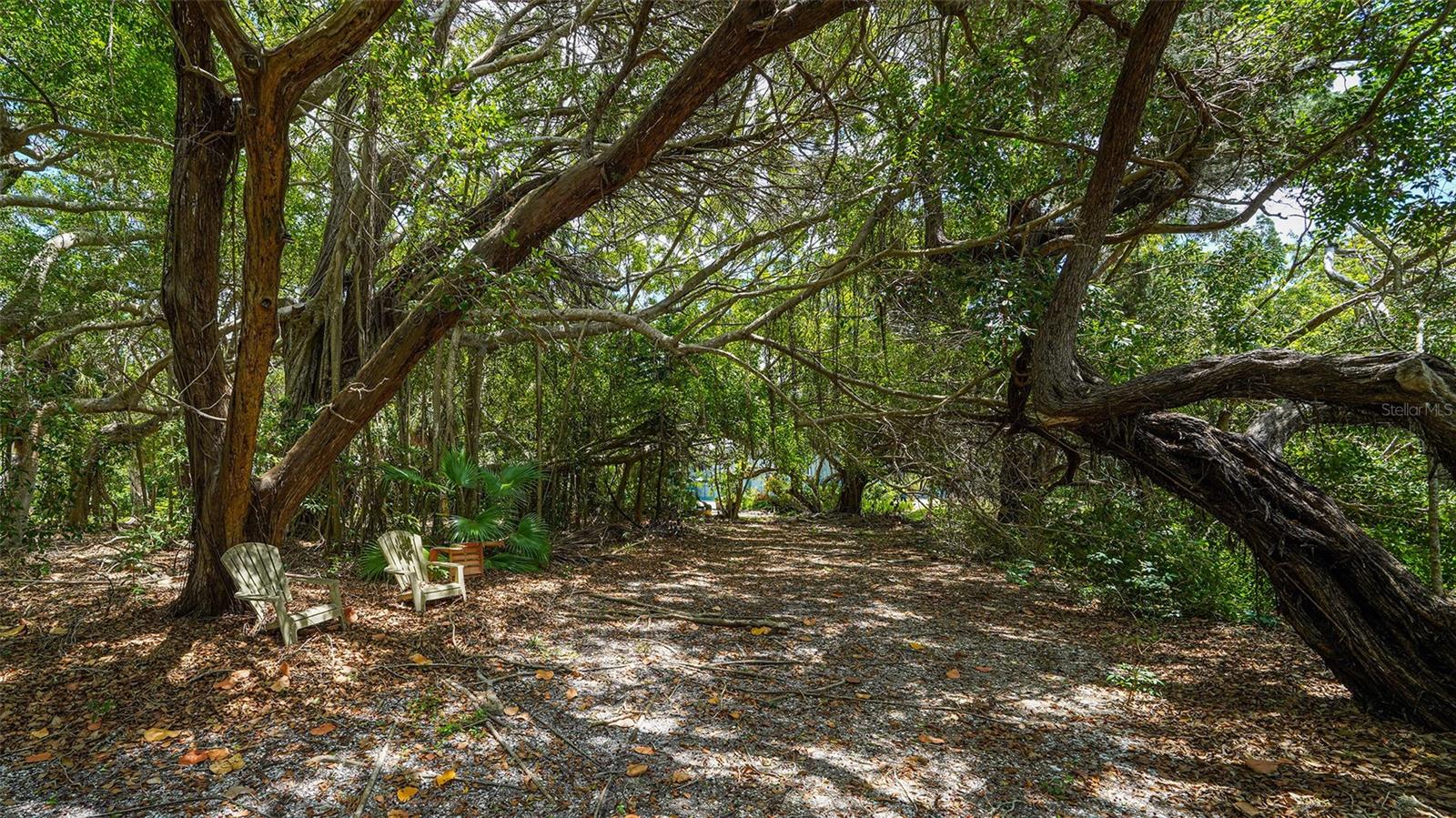 GULF BLVD - Residential