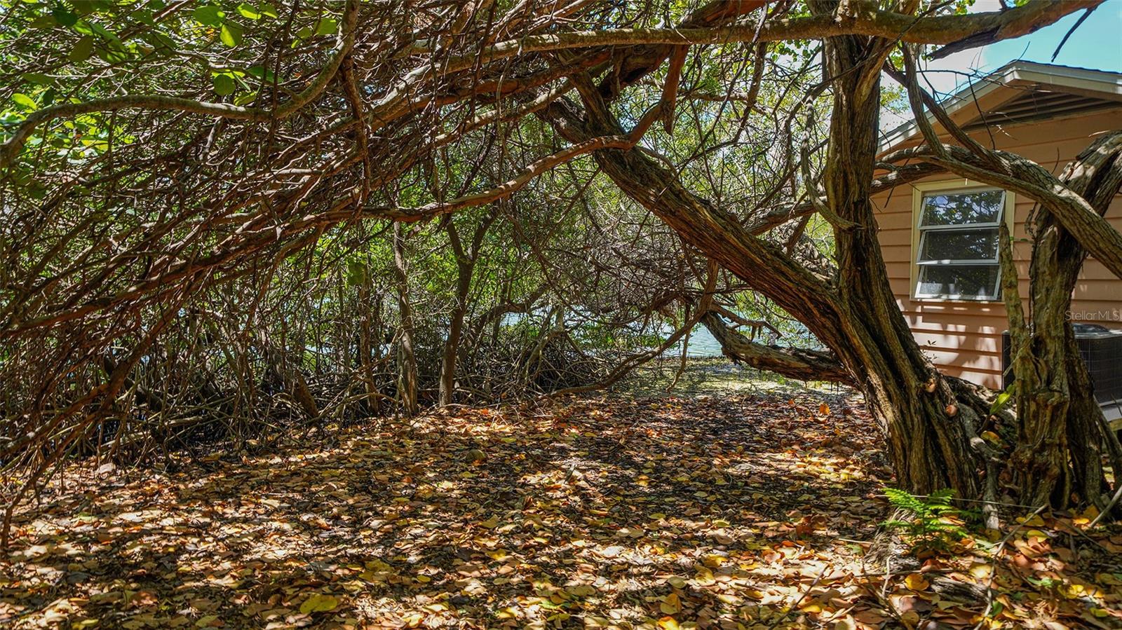 GULF BLVD - Residential