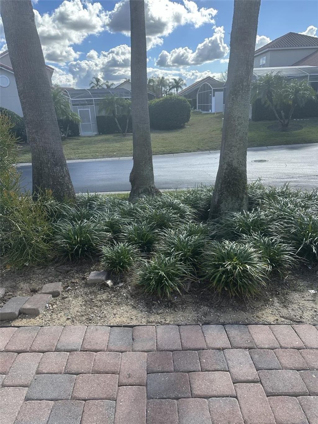 Photo of 609 Brunello Drive, Davenport, FL 33897 (MLS # O6374186)