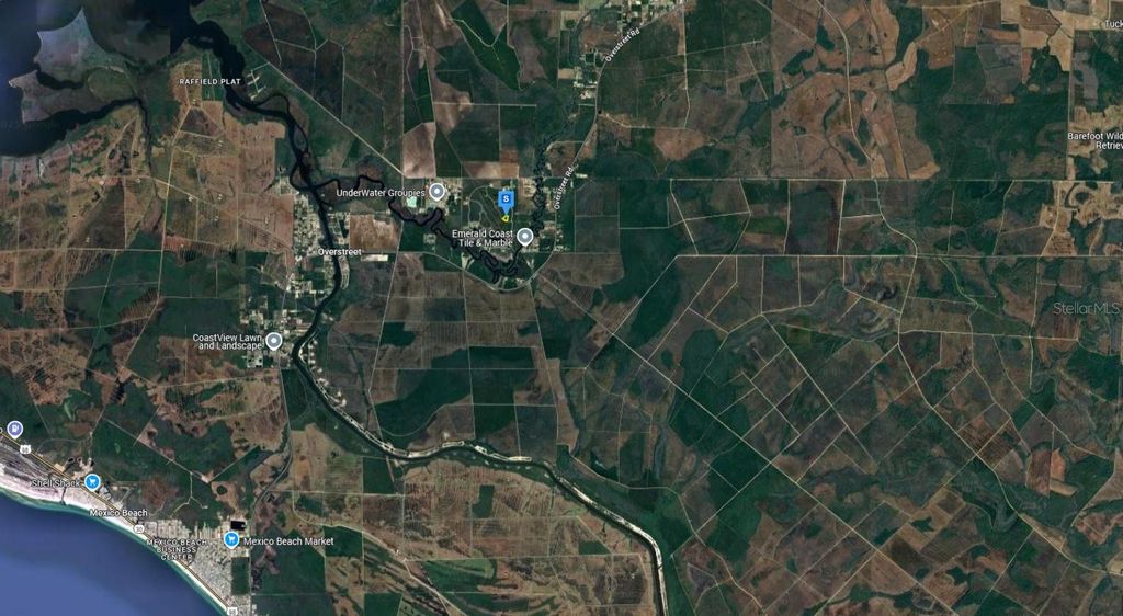 Photo of 126 Ibis Drive, Wewahitchka, FL 32465 (MLS # A4676357)