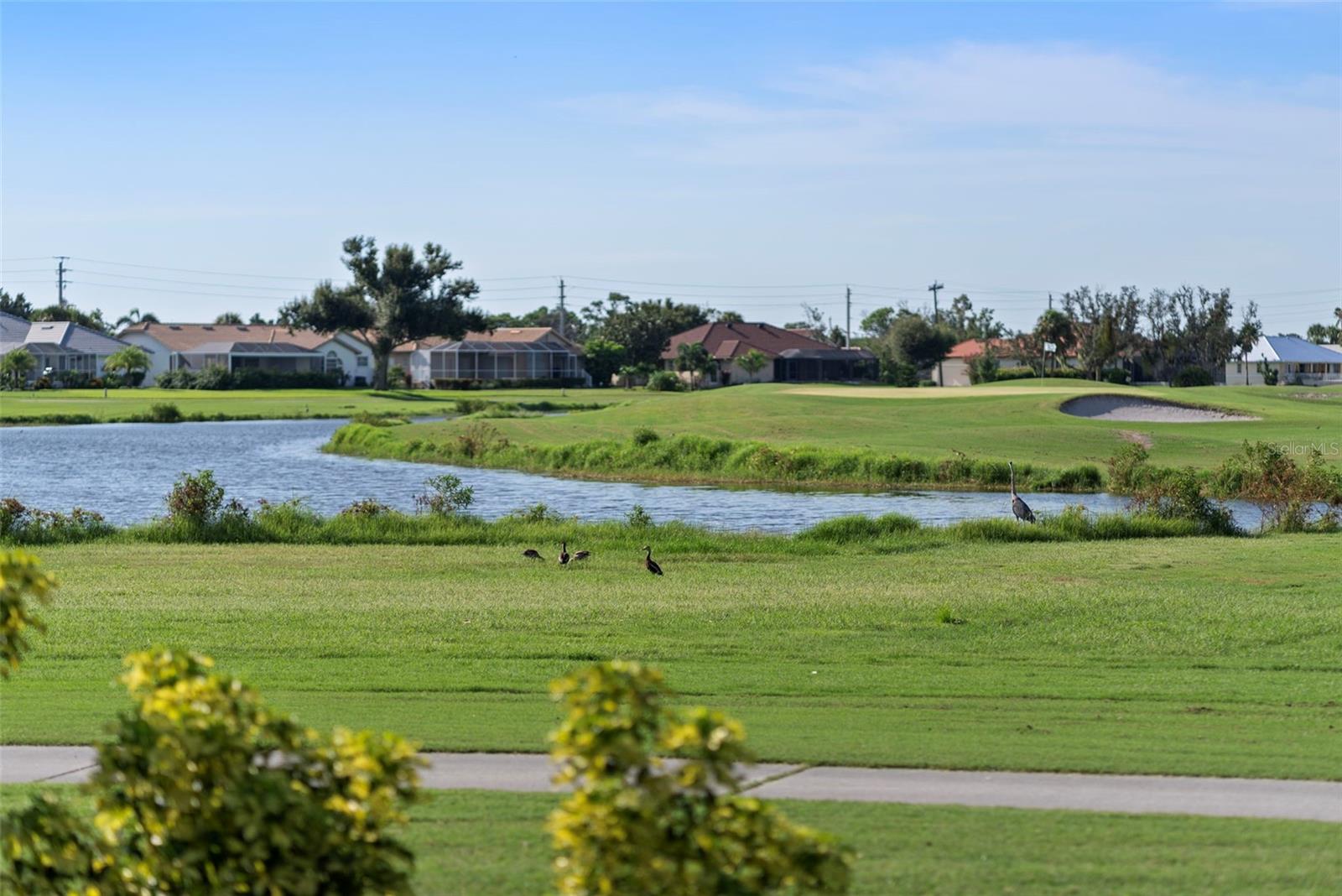 CAPE HAZE WINDWARD - Residential
