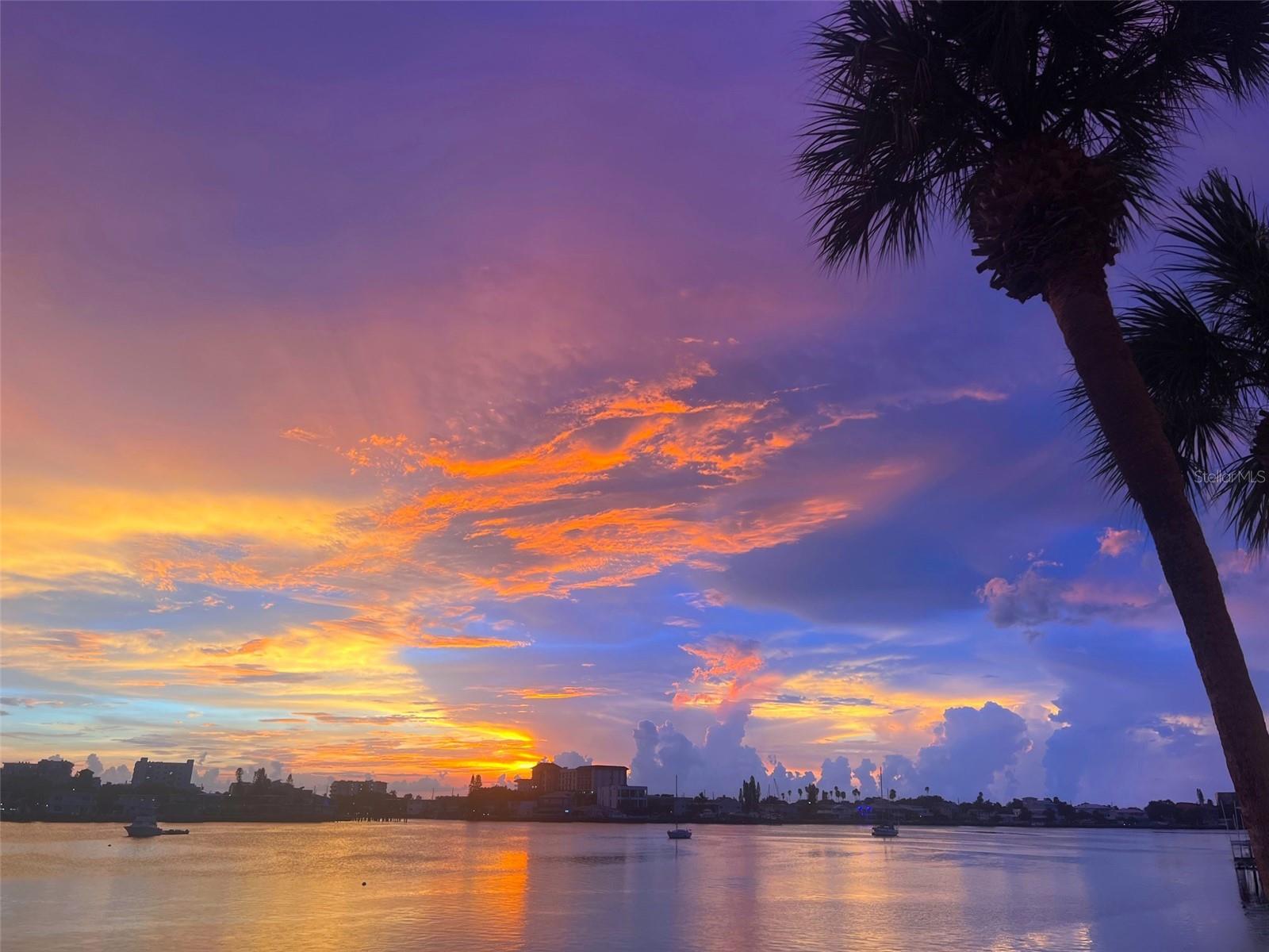 ISLAND POINT 1 CONDO - Residential