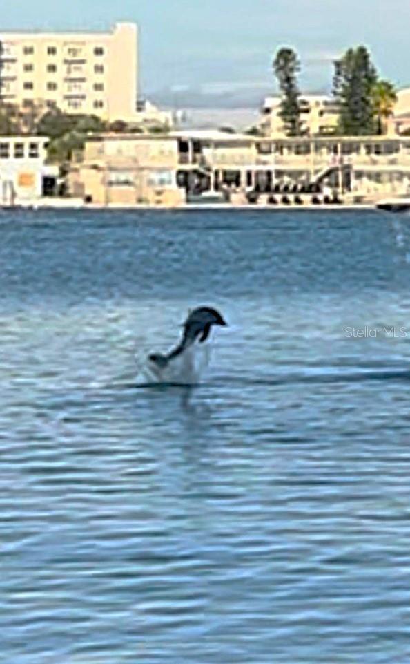 ISLAND POINT 1 CONDO - Residential