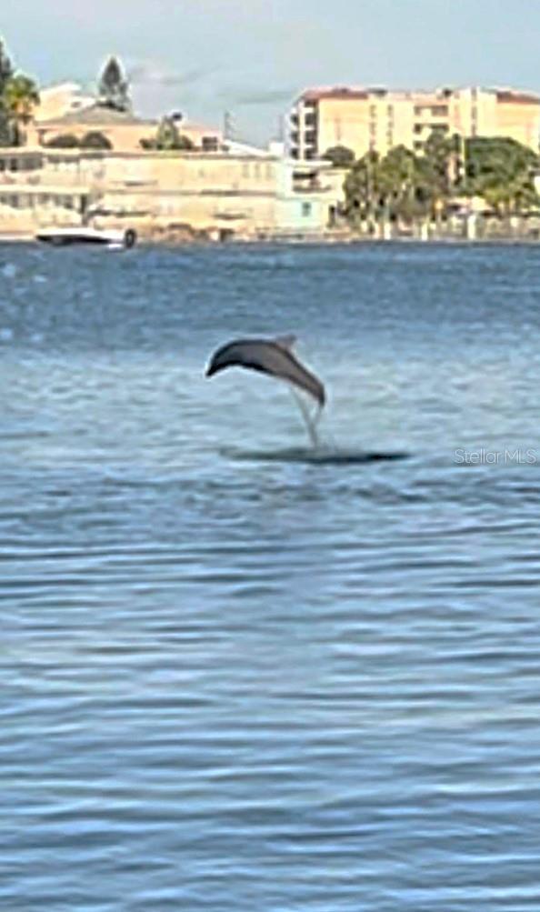 ISLAND POINT 1 CONDO - Residential