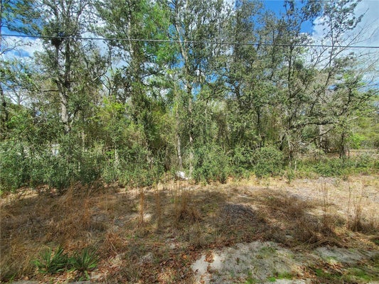 FORD LN, ANTHONY, FL 32617 - Image c6fbabf5c76f5cc1778d66d7b2d1d32c/253499826