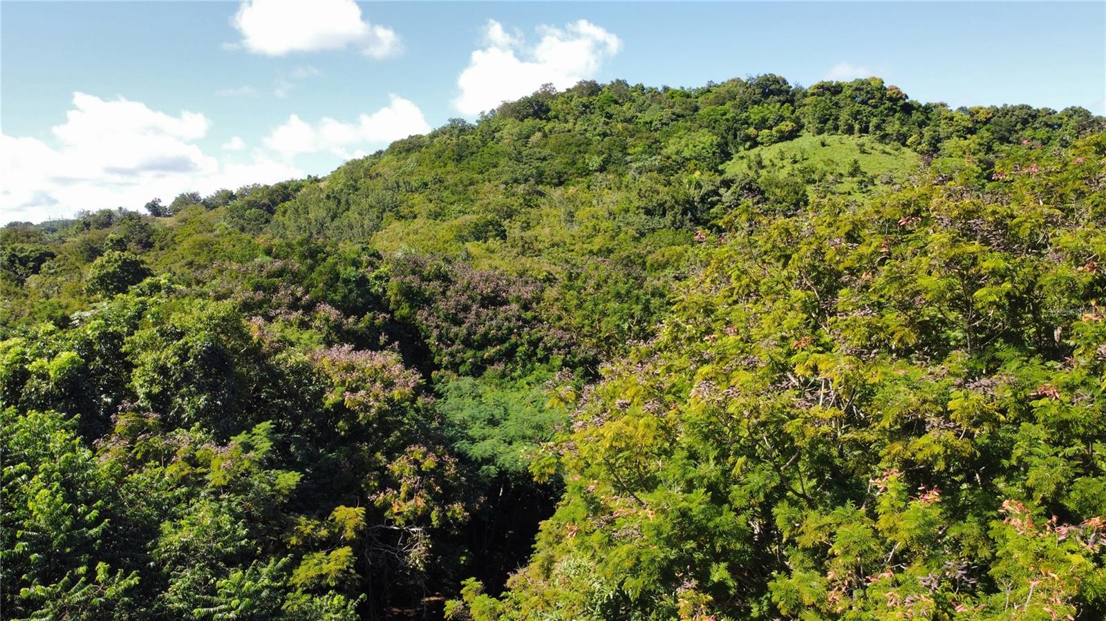 BO. GUZMAN ABAJO - Residential