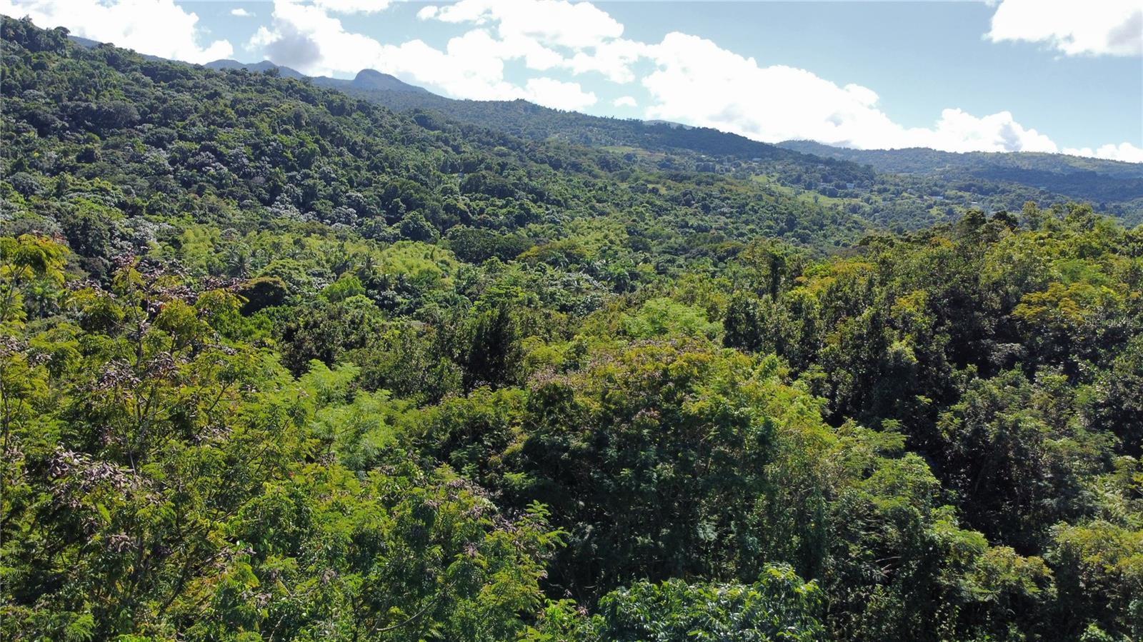 BO. GUZMAN ABAJO - Residential