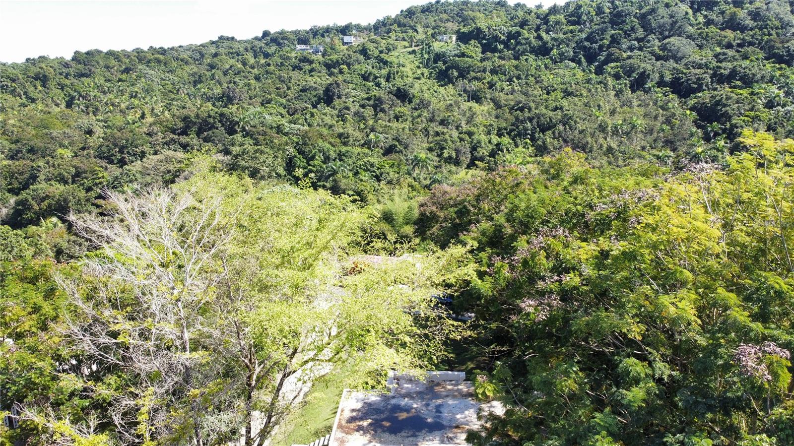 BO. GUZMAN ABAJO - Residential