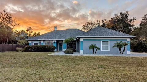 A home in DELTONA