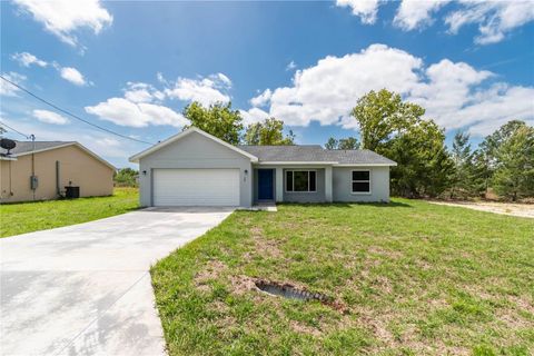 A home in OCKLAWAHA