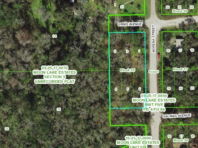 MOON LAKE ESTATES - Land