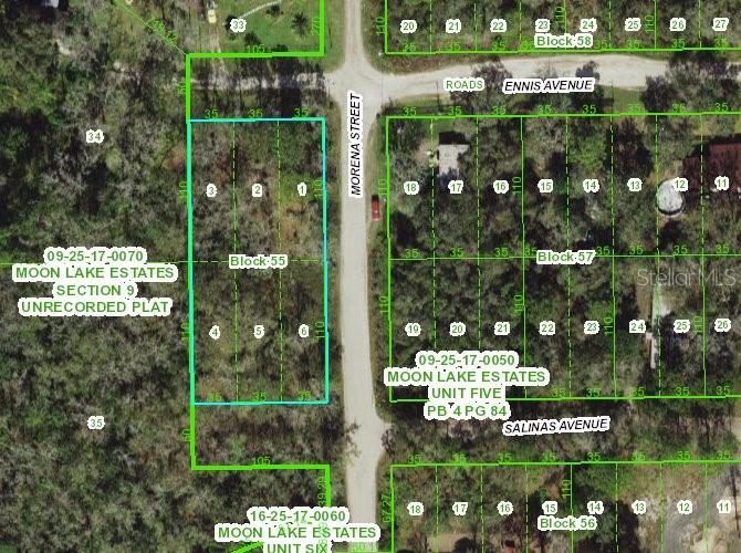 MOON LAKE ESTATES - Land