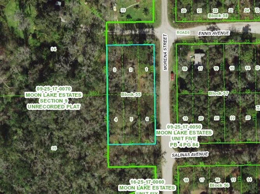 Photo of 11021 Morena Street, New Port Richey, FL 34654 (MLS # TB8439885)