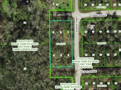 11021 MORENA STREET NEW PORT RICHEY FL 34654