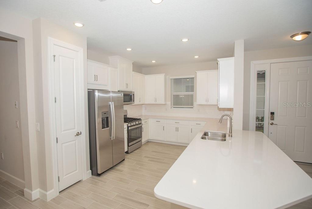 ESPLANADE AT WIREGRASS RANCH - Residential