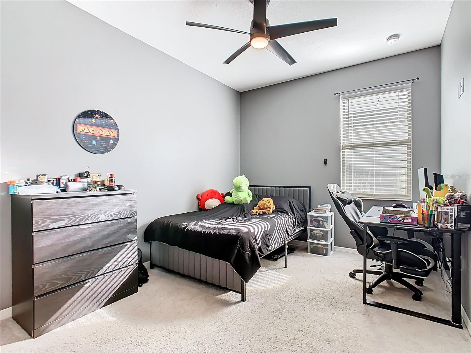 RESERVE AT PINE TREE - Residential