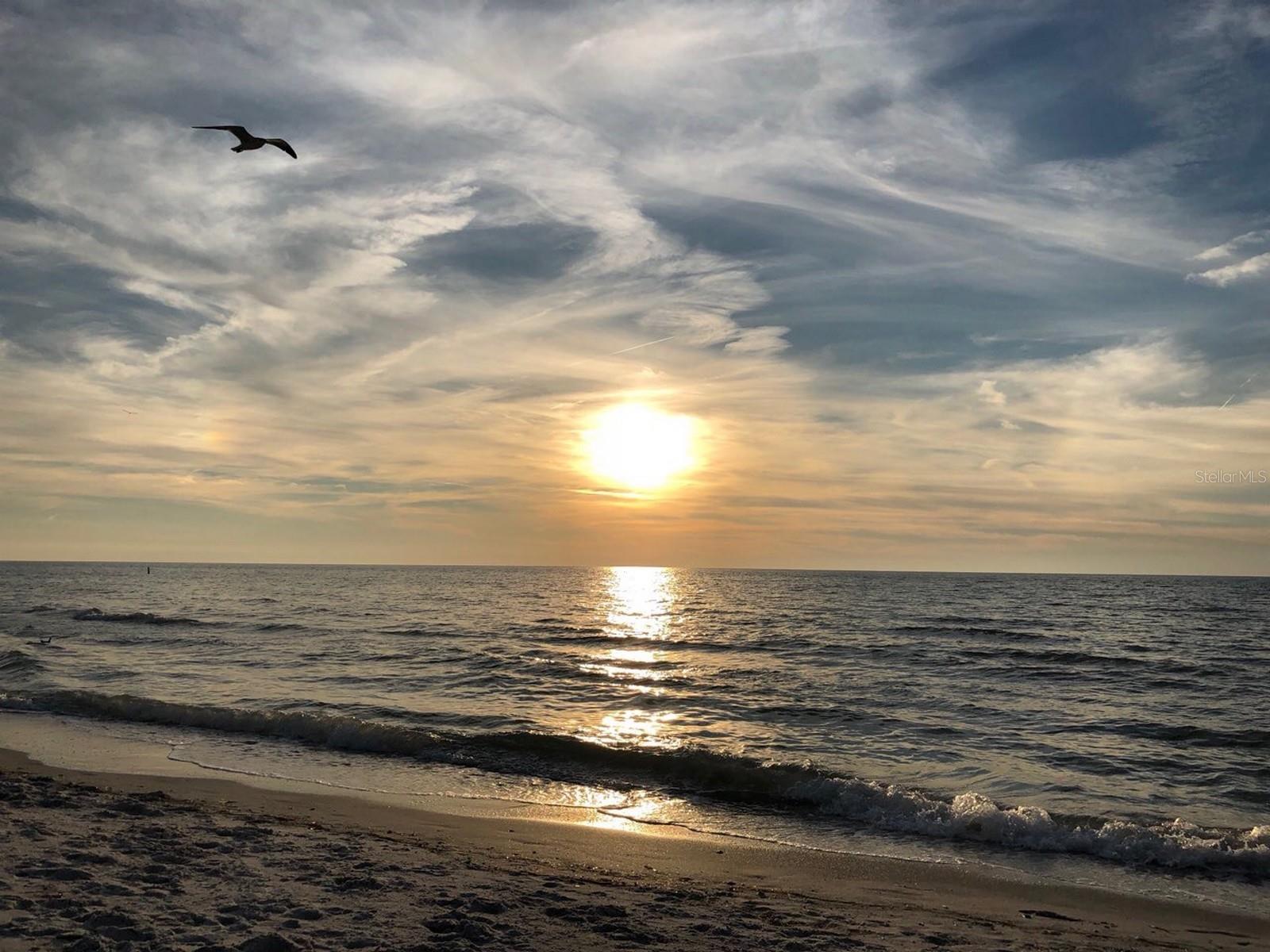 HARBOUR CLUB CONDO 2 - Residential