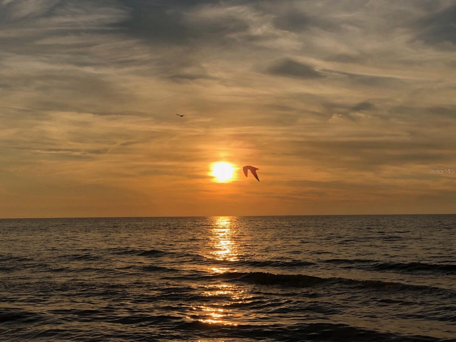 HARBOUR CLUB CONDO 2 - Residential