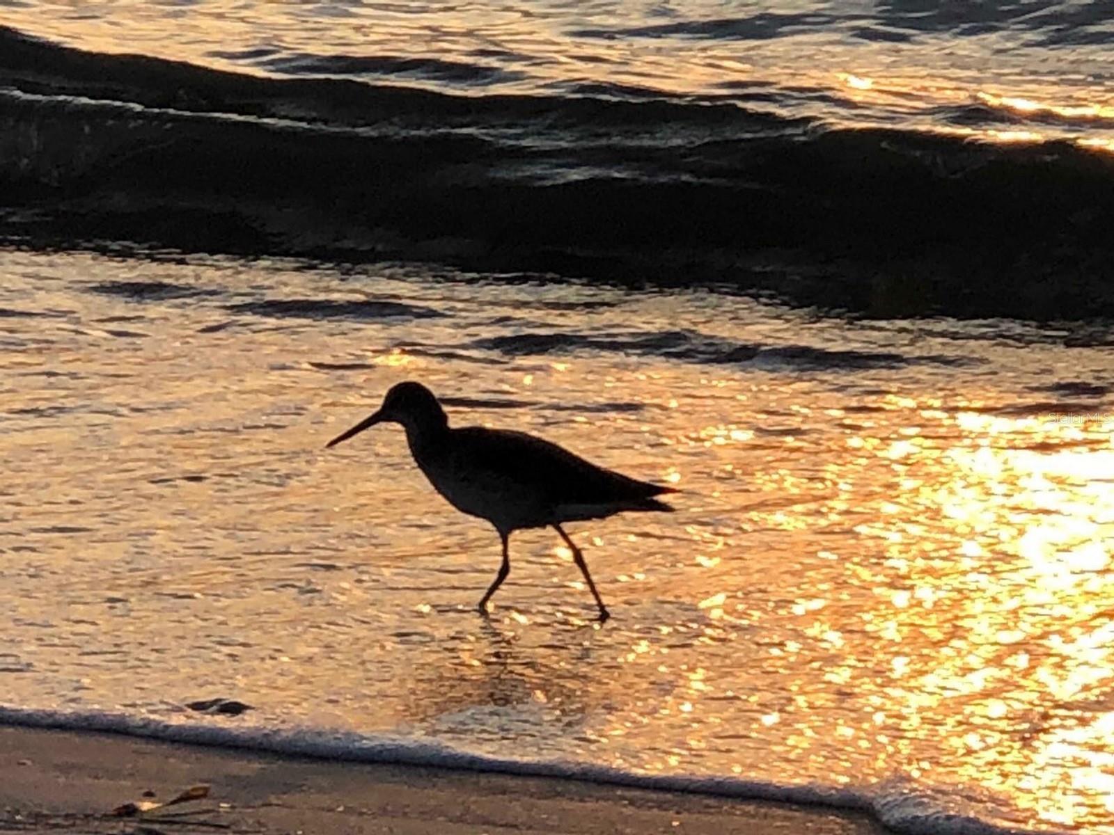 HARBOUR CLUB CONDO 2 - Residential