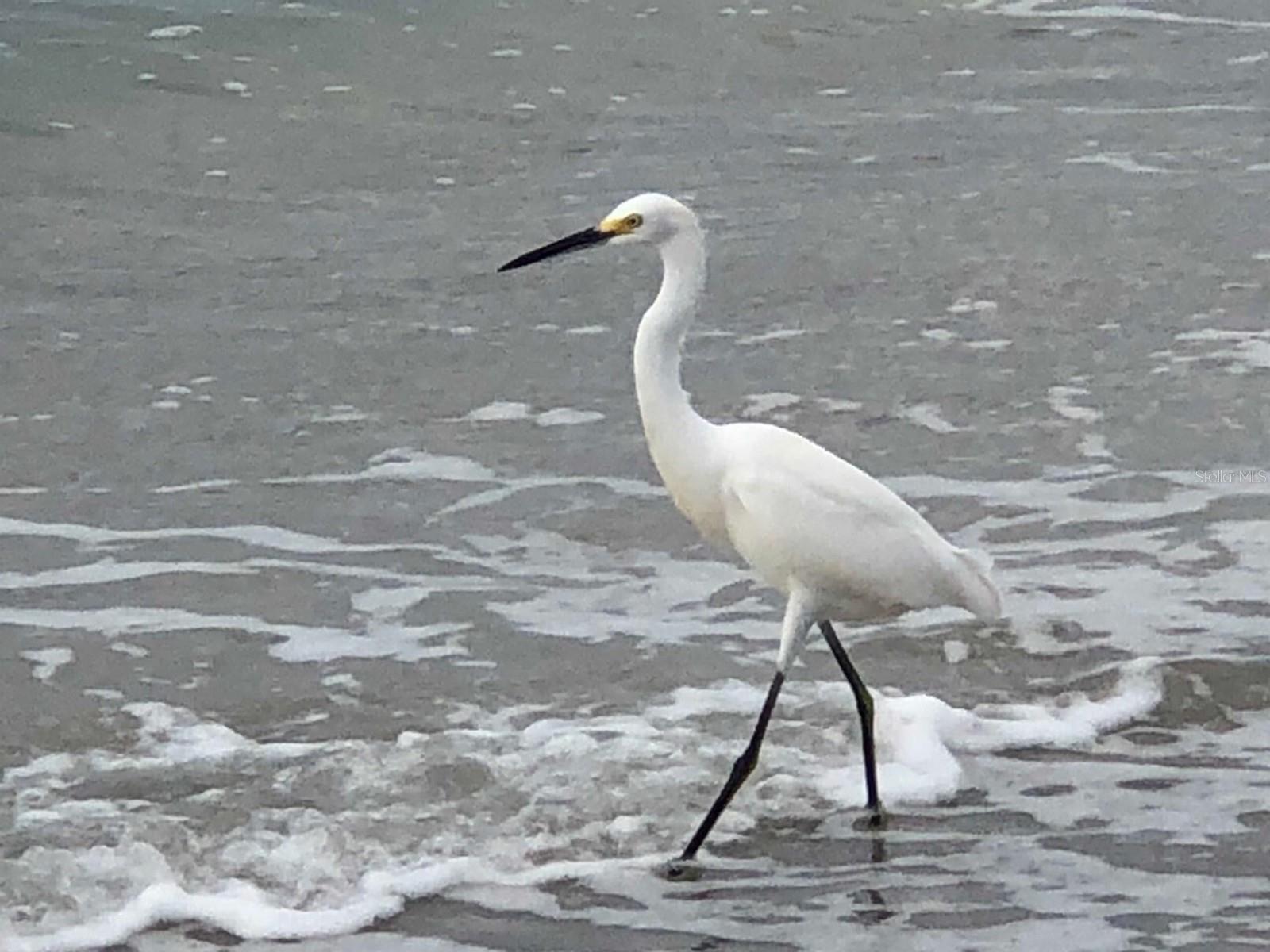 HARBOUR CLUB CONDO 2 - Residential