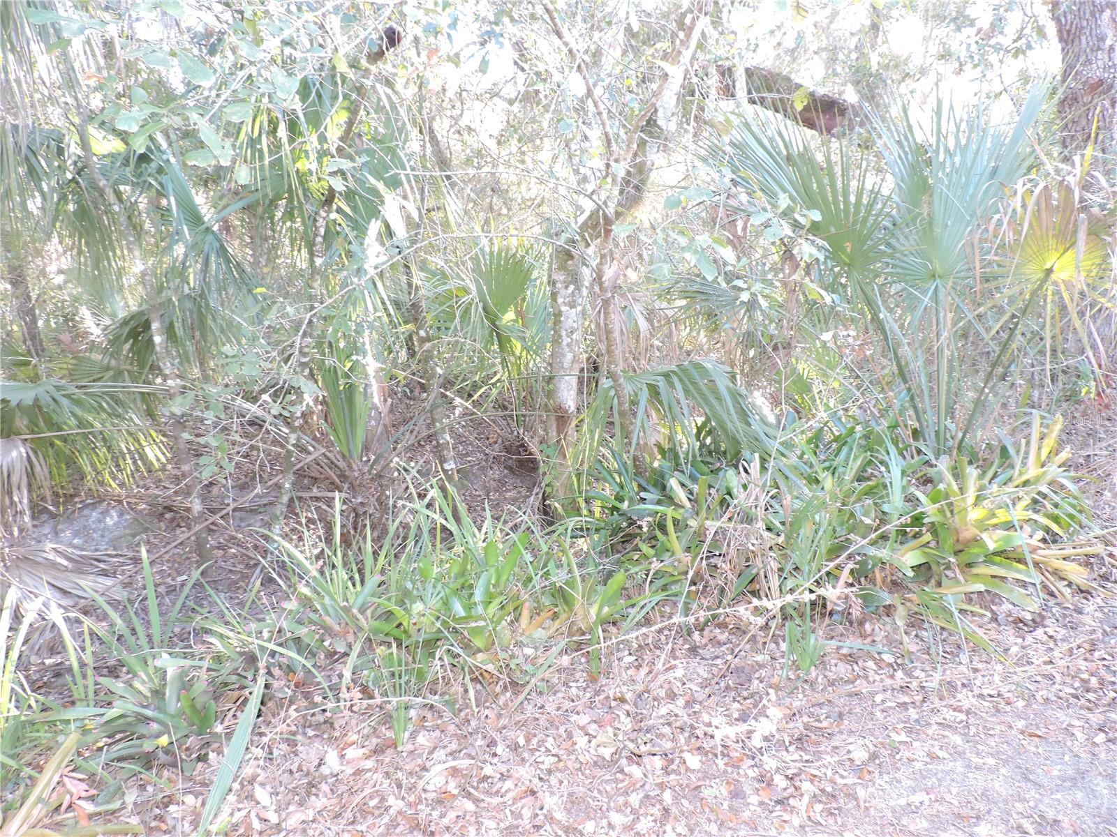 LAKE ROSALIE OAKS - Residential