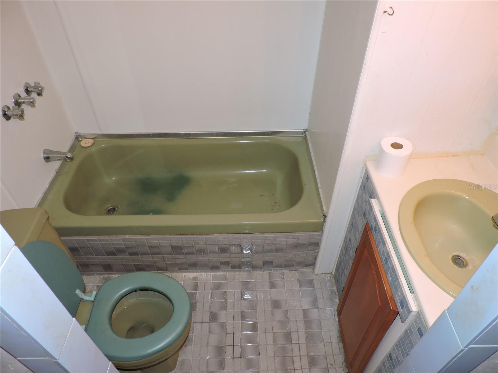 LAKE ROSALIE OAKS - Residential