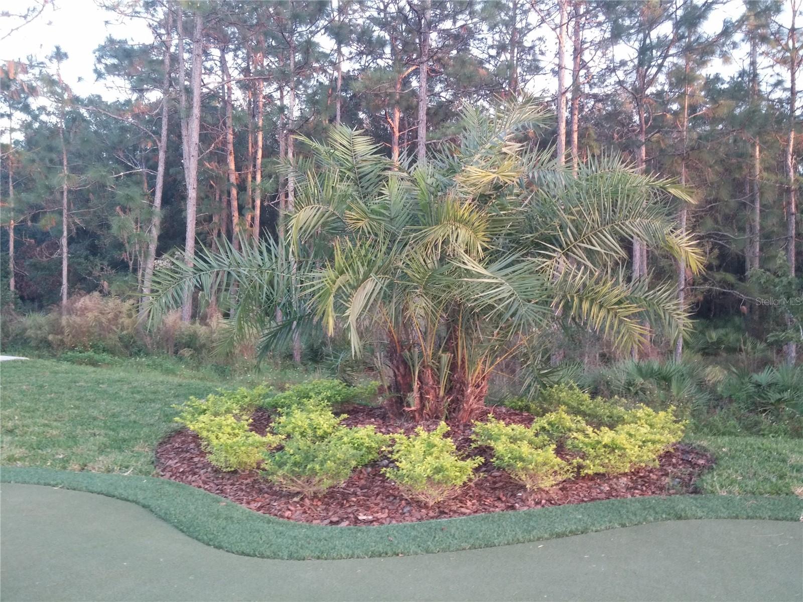 LIVE OAK PRESERVE 2C VILLAGES - Residential Lease