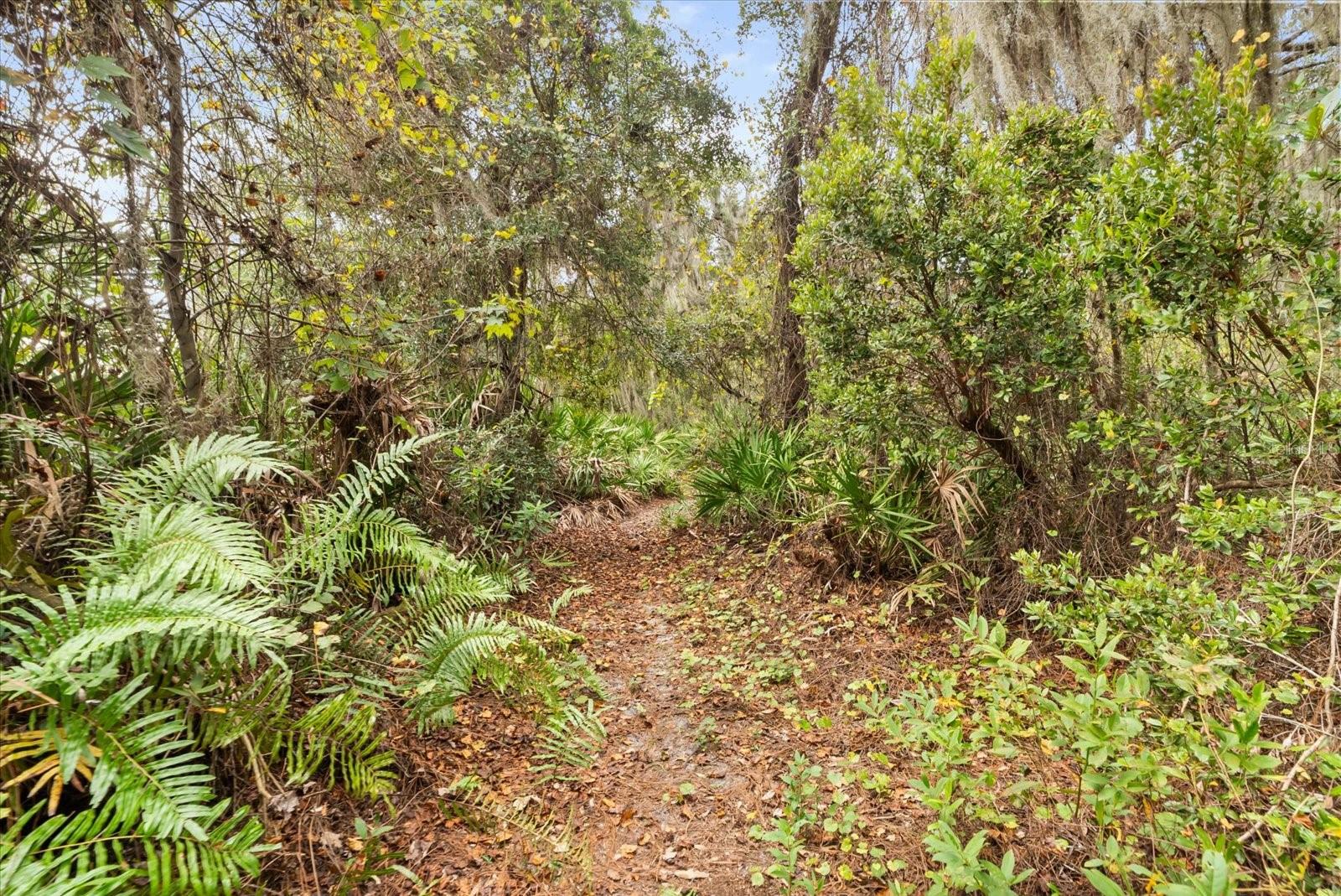 WATERMILL SEC 01 - Residential