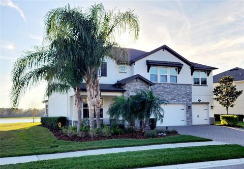 A home in LUTZ