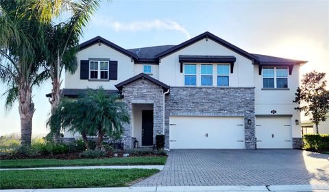 18304 ROSEATE DRIVE LUTZ FL 33558