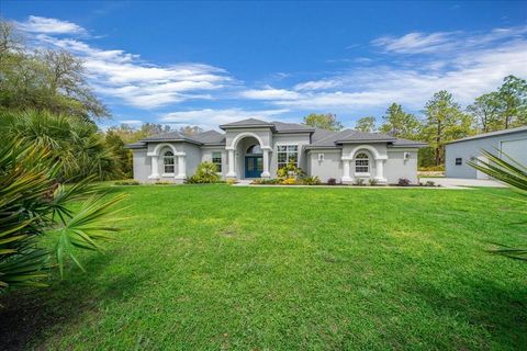 Photo of 11667 W Bluebell Drive, Crystal River, FL 34428 (MLS # OM722401)