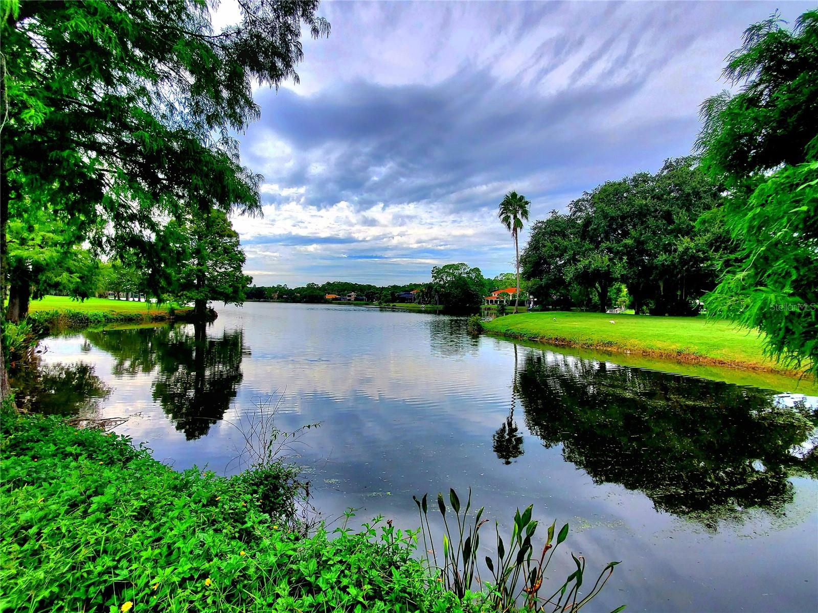 TREE TOPS PH 1 - Residential