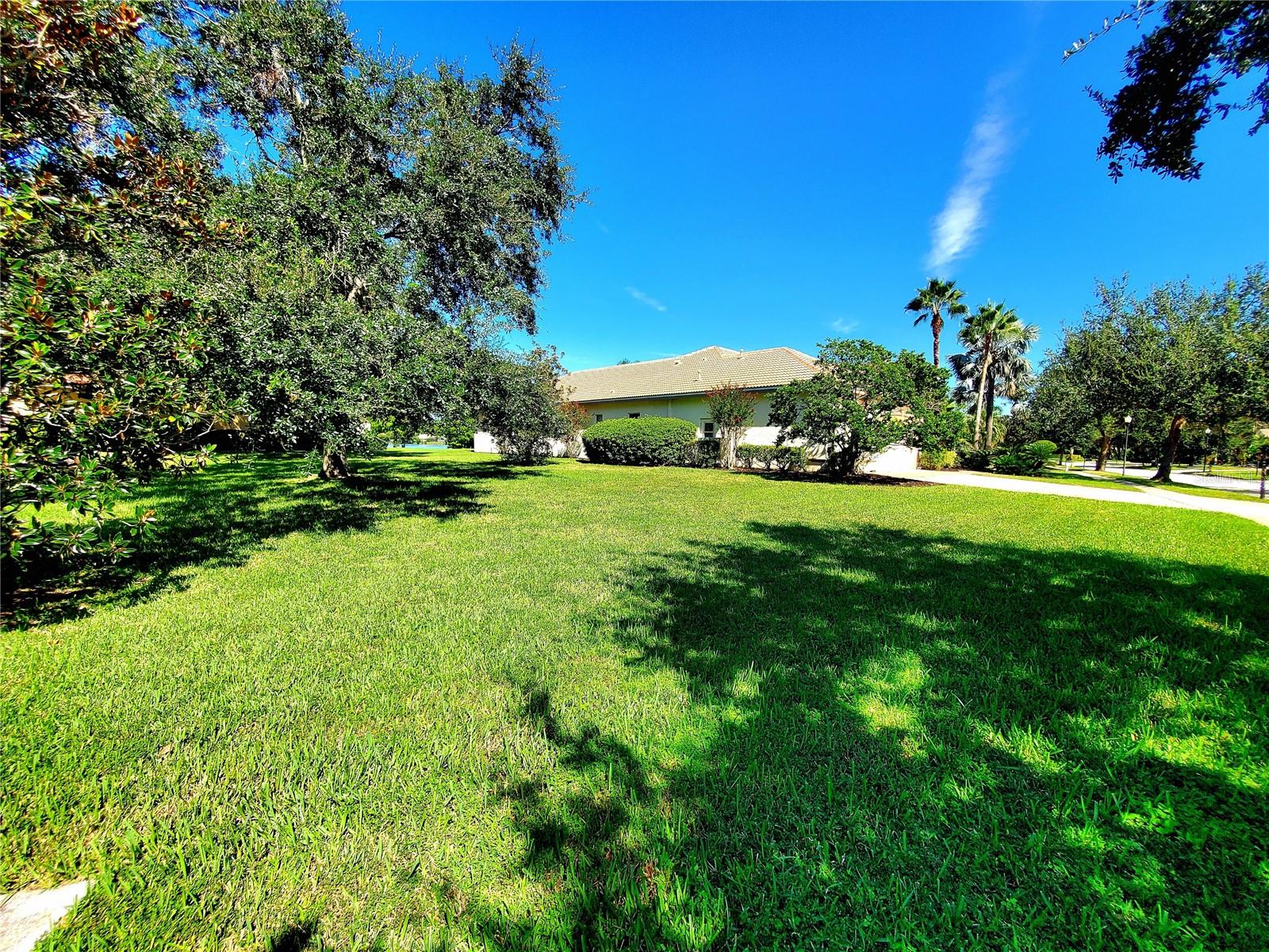 TREE TOPS PH 1 - Residential