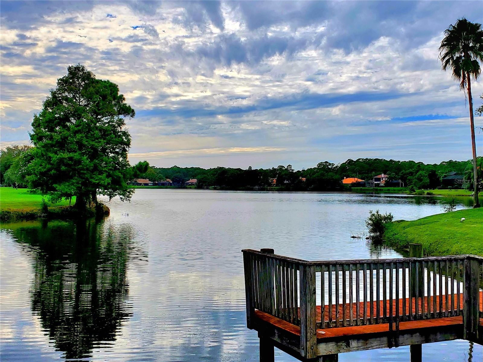 TREE TOPS PH 1 - Residential