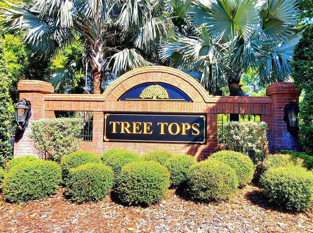 Photo of 10004 Tree Tops Lake Road, Tampa, FL 33626 (MLS # TB8474861)