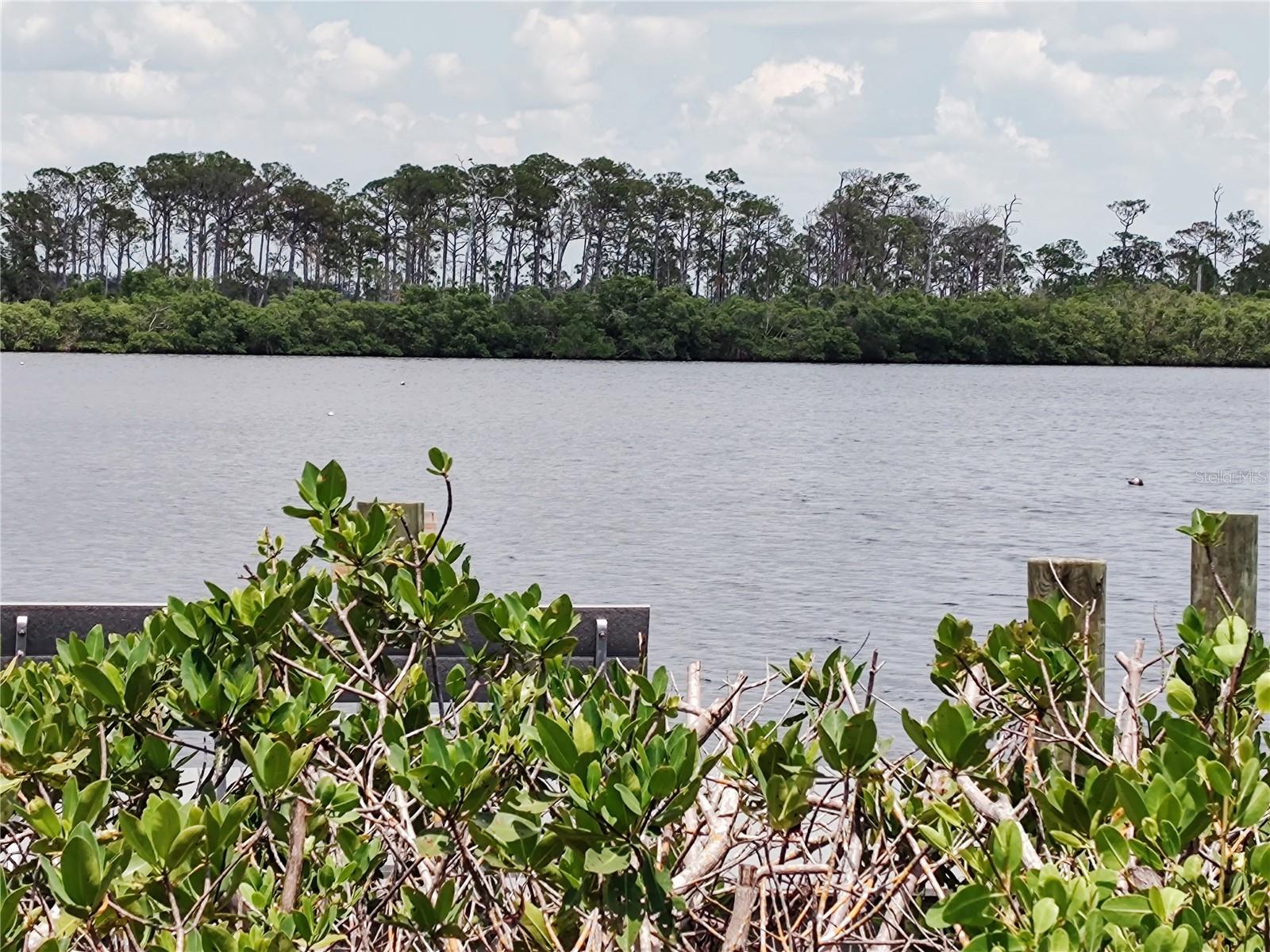 TROPICAL SHORES - Residential