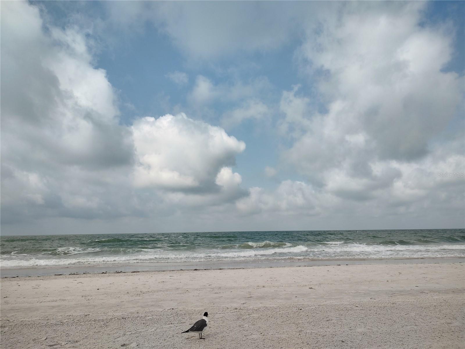 TROPICAL SHORES - Residential