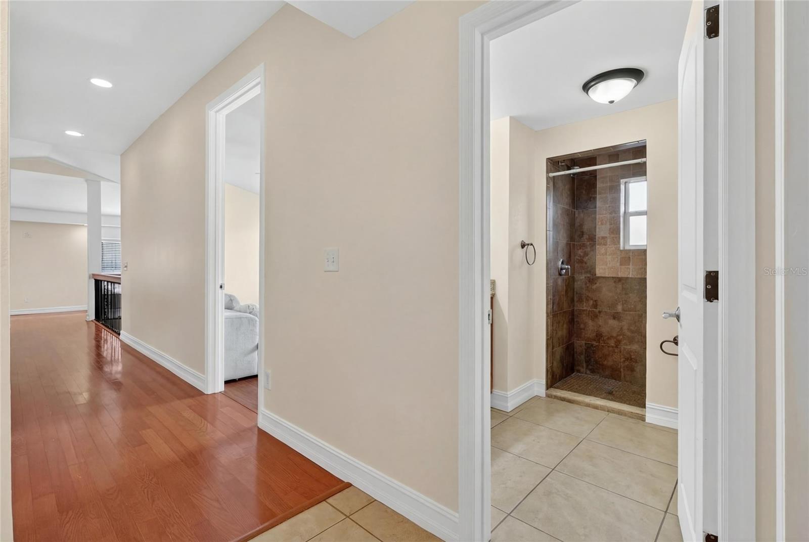 DIXIELAND REV - Residential