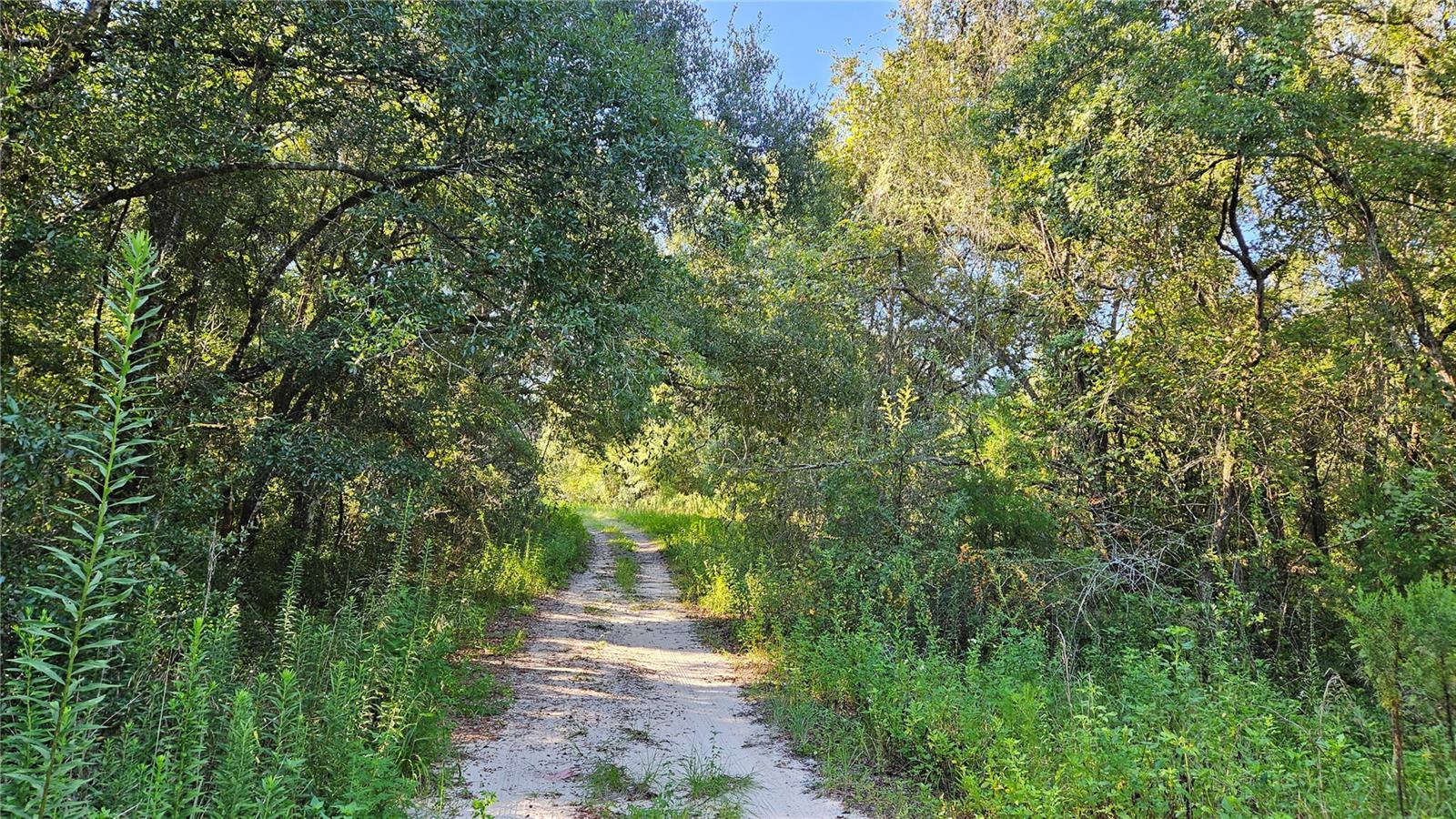 INVERNESS ACRES UNIT 01 AKA INVERNESS VILLAGE - Land