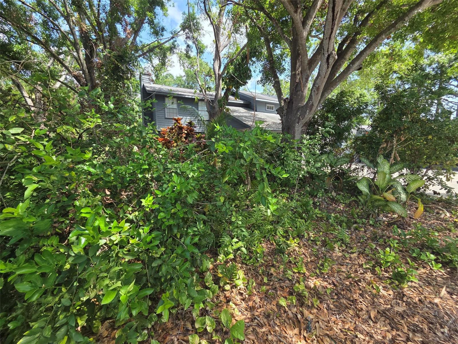 HARBOUR OAKS SUB - Residential Lease