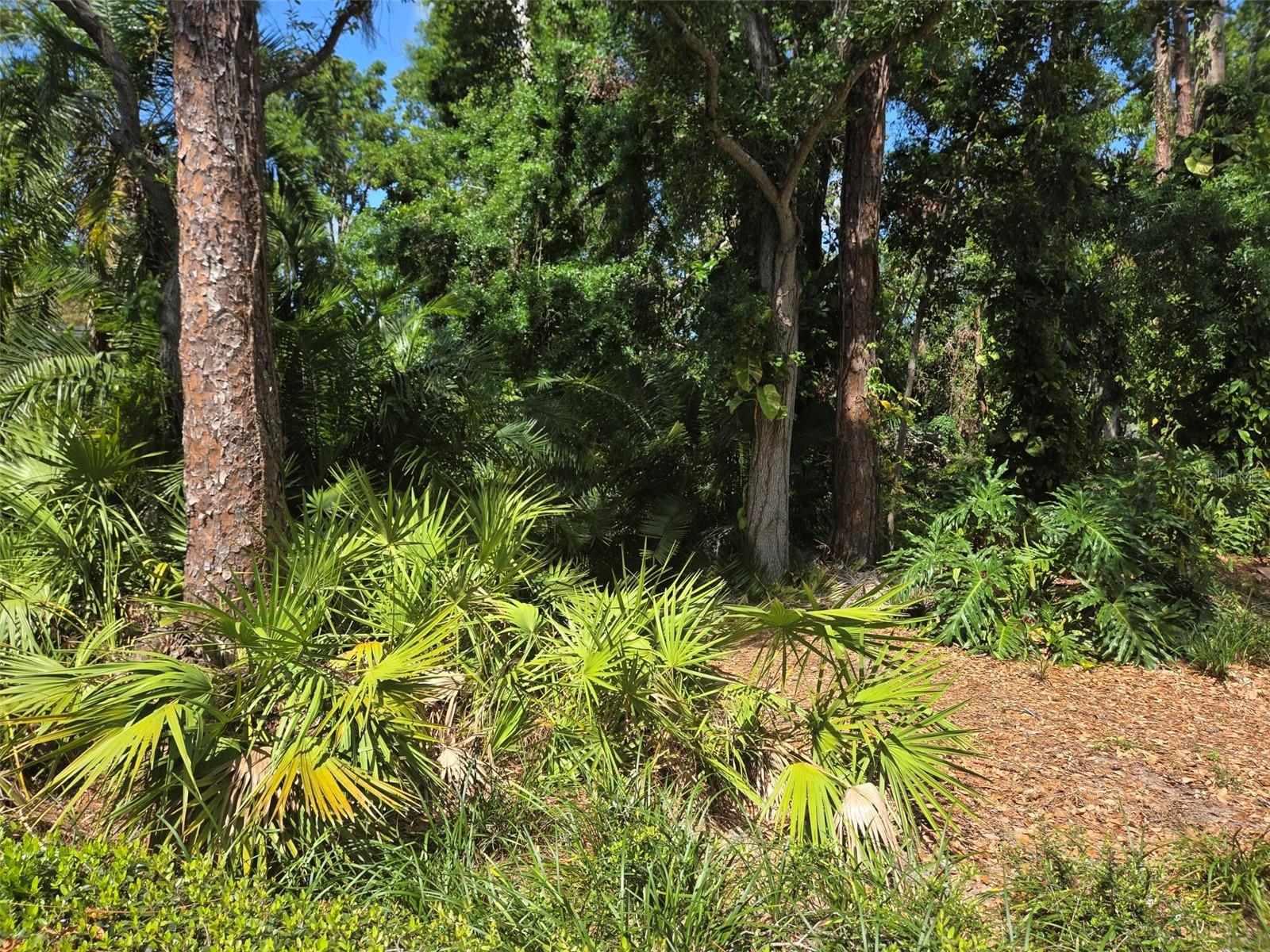 HARBOUR OAKS SUB - Residential Lease
