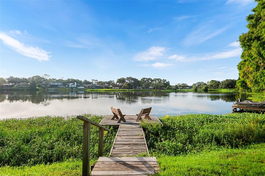 Photo of 1007 Rolling Woods Lane, Lakeland, FL 33813 (MLS # TB8544599)