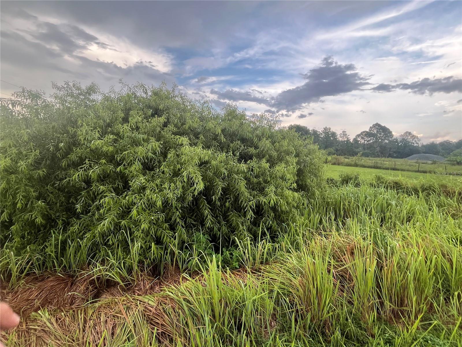 CENTRAL ACRES SEC 1 - Land